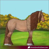 Horse Color:Red Dun  and Red Dun 