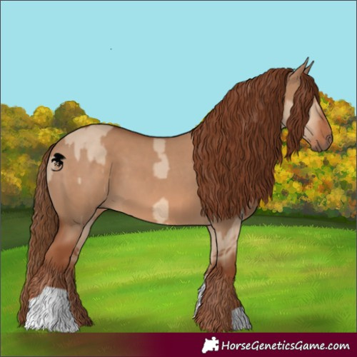 Horse Color:Red Dun  and Red Dun 
