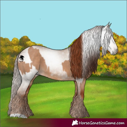 Horse Color:Red Dun  and Gray Red Dun 