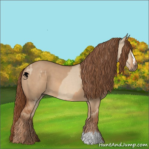 Horse Color:Red Dun  and Red Dun 