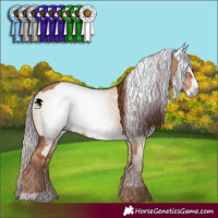 Horse Color:Red Dun  and Gray Red Dun 