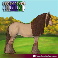Horse Color:Red Dun  and Gray Red Dun 