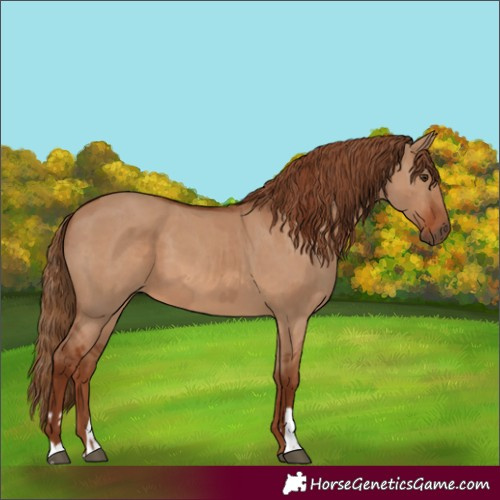 Horse Color:Red Dun  and Red Dun 