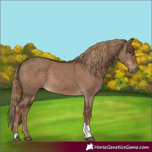 Horse Color:Liver Red Dun  and Liver Red Dun 
