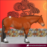 Horse Color:Bay Tobiano Rabicano 