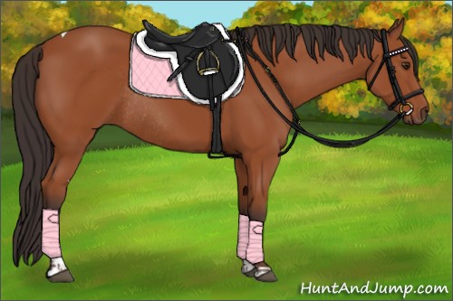 Horse Color:Bay Tobiano Rabicano 