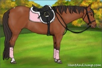 Horse Color:Bay Tobiano Rabicano 