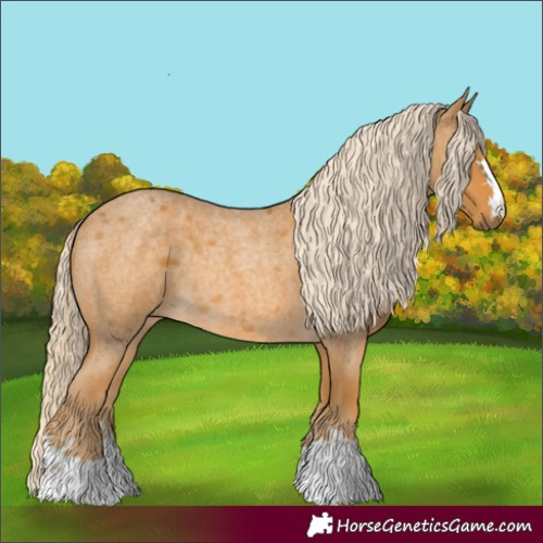 Horse Color:Palomino Roan 
