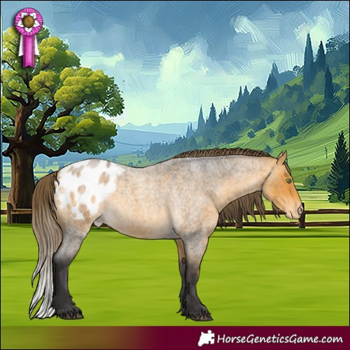 Horse Color:Buckskin Roan Blanket 