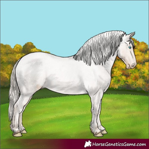 Horse Color:Chocolate Palomino Roan Pearl Varnish 