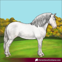 Horse Color:Chocolate Palomino Roan Pearl Varnish