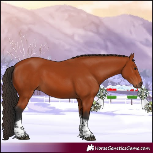 Horse Color:Bay Tobiano Rabicano 