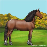 Horse Color:Bay Tobiano Rabicano 