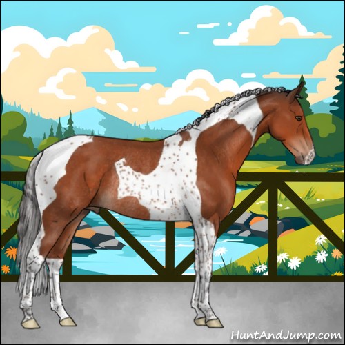 Horse Color:Bay Tobiano Rabicano 