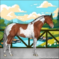 Horse Color:Bay Tobiano Rabicano 