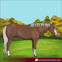 Horse Color:Silver Black 