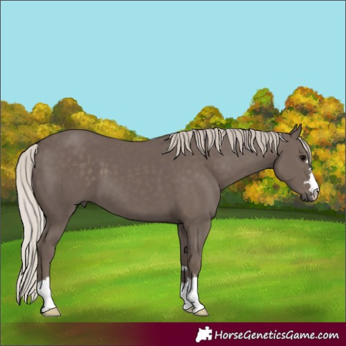 Horse Color:Silver Black 