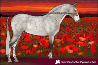 Horse Color:Gray Silver Brown Roan Dun Sabino Rabicano Brindle 