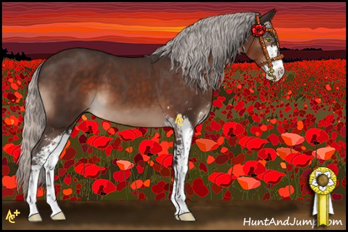 Horse Color:Silver Brown Mushroom Sabino