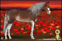 Horse Color:Silver Brown Mushroom Sabino