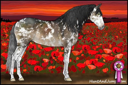 Horse Color:Gray Brown Dun Mushroom Sabino