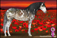 Horse Color:Gray Brown Dun Mushroom Sabino 