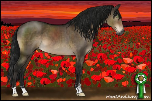 Horse Color:Gray Brown Dun Mushroom Sabino Brindle 