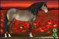 Horse Color:Gray Brown Dun Mushroom Sabino Brindle 