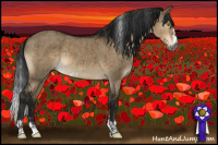 Horse Color:Gray Brown Dun Sabino Brindle 