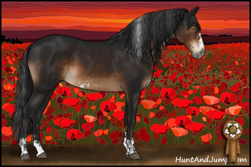 Horse Color:Gray Brown Mushroom Sabino 