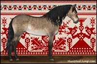 Horse Color:Gray Brown Dun Brindle 