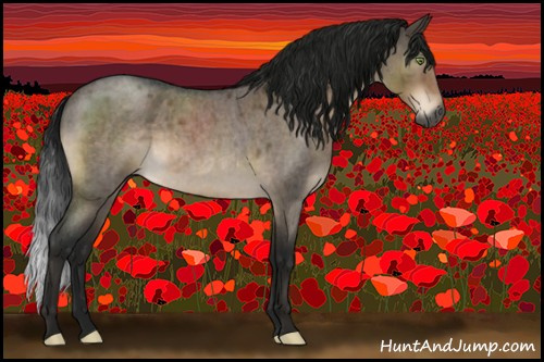 Horse Color:Gray Brown Roan Dun Mushroom Sabino Rabicano Brindle 