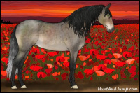 Horse Color:Gray Brown Roan Dun Mushroom Sabino Rabicano Brindle 