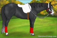 Horse Color:Black Splash Frame