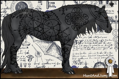 Horse Color:Black 