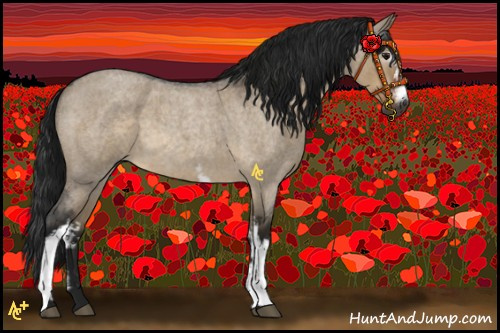 Horse Color:Gray White Spotted Brown Roan Dun