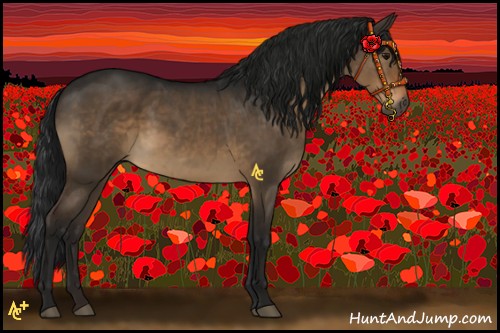 Horse Color:Gray Brown Dun Rabicano 