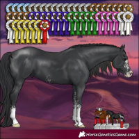 Horse Color:Black Sabino