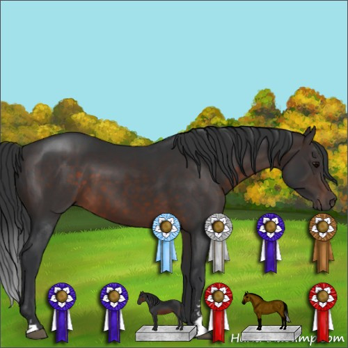 Horse Color:Brown Sabino