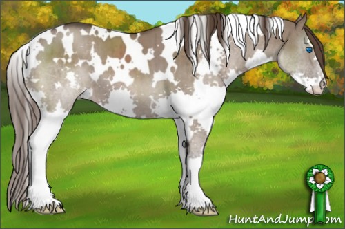 Horse Color:White Spotted Liver Red Dun Splash Brindle