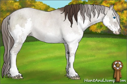 Horse Color:Liver Red Dun Splash Rabicano Brindle 