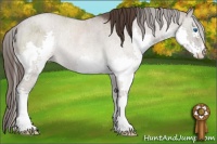 Horse Color:Liver Red Dun Splash Rabicano Brindle 