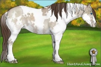 Horse Color:White Spotted Liver Red Dun Splash Rabicano Brindle