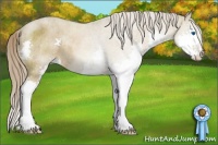 Horse Color:Chocolate Palomino Dun Splash Rabicano Brindle