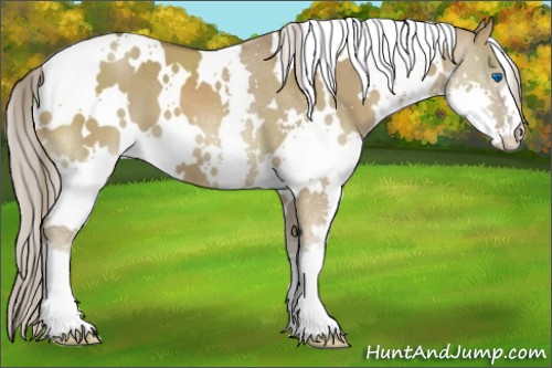 Horse Color:White Spotted Chocolate Palomino Dun Splash Brindle 