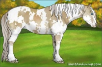 Horse Color:White Spotted Chocolate Palomino Dun Splash Brindle 