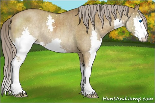 Horse Color:Chocolate Palomino Dun Splash Rabicano Brindle