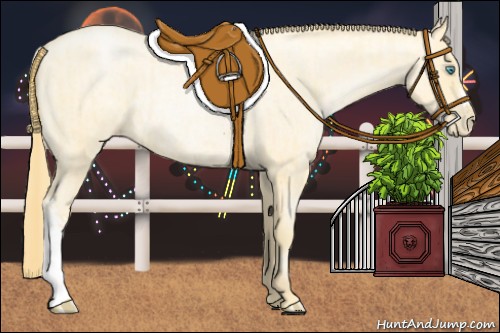 Horse Color:Buckskin Roan Pearl  and Buckskin Roan Pearl Rabicano 