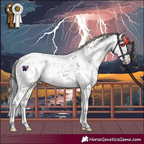 Horse Color:Brown Dun Mushroom Splash Tobiano Snowcap 