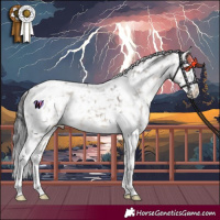 Horse Color:Brown Dun Mushroom Splash Tobiano Snowcap 